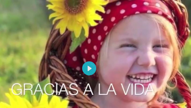 VER VIDEO