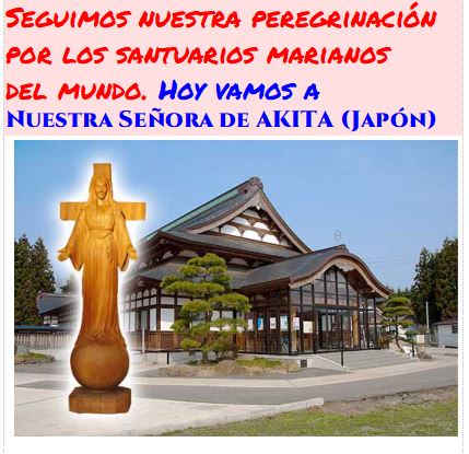 VER VIDEO