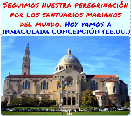VER VIDEO