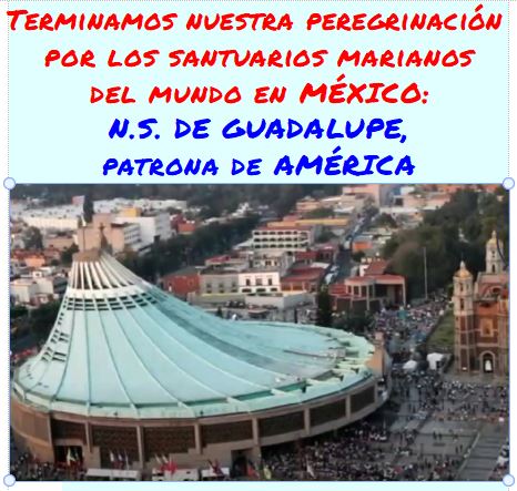 VER VIDEO